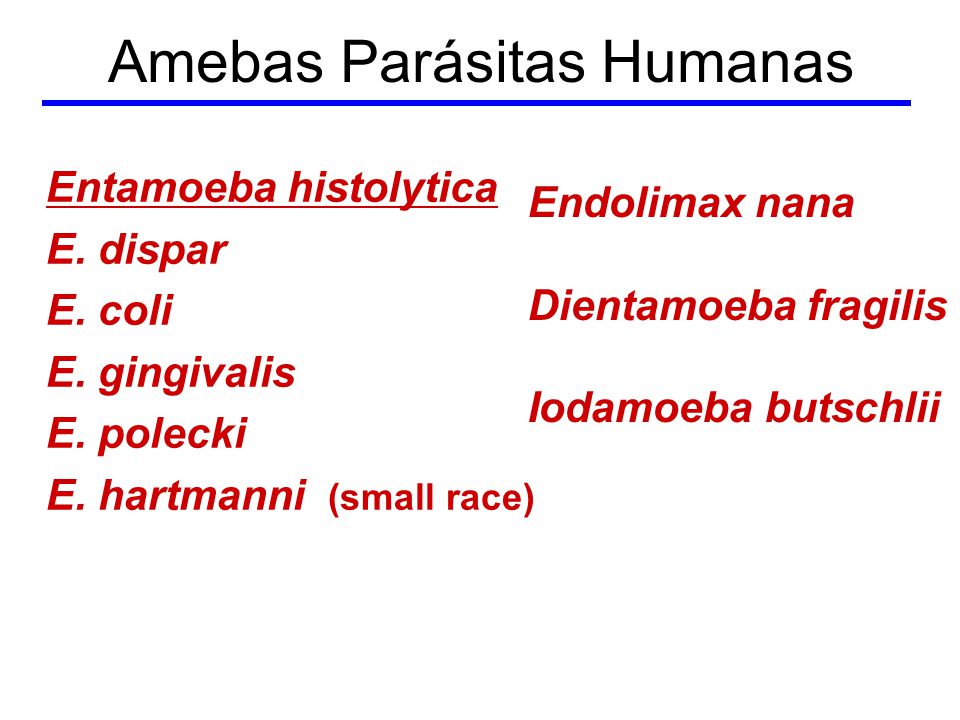cuáles daughter las amebas parasitas